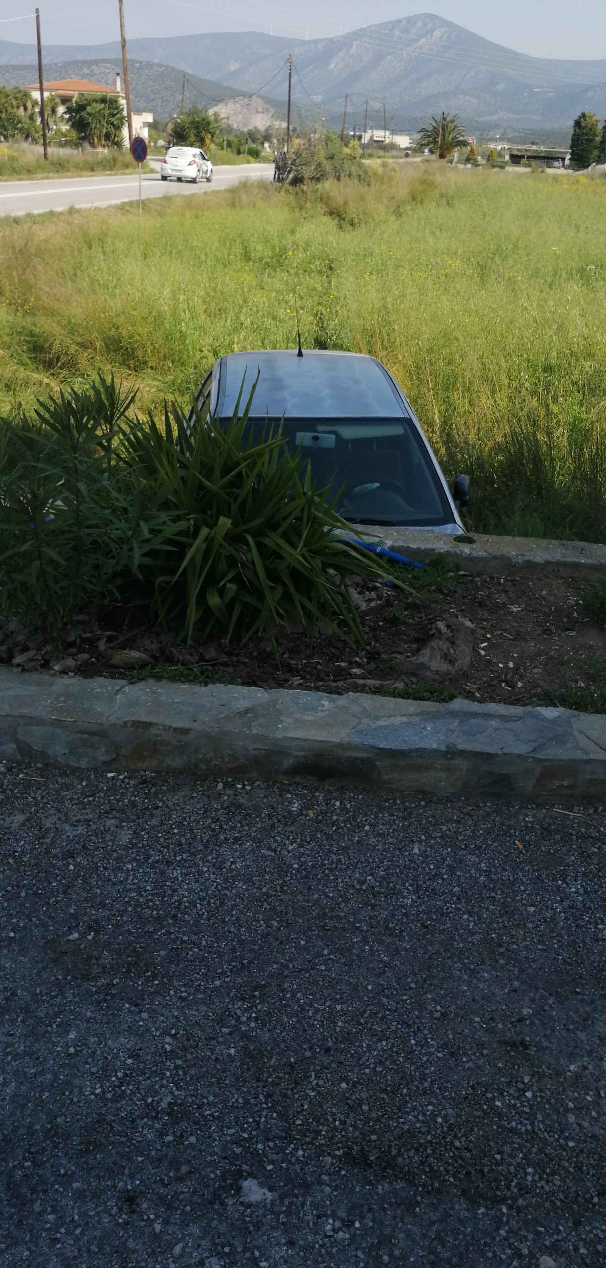 IMG_20200412_100201 (1224 x 2560) - iErmionidaGreece